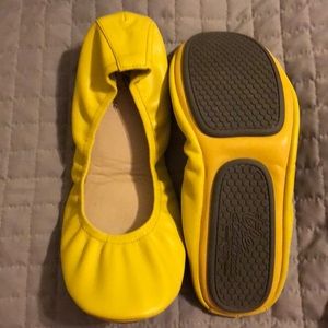 Storehouse flats marigold